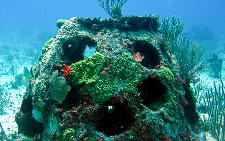 eternal-reefs