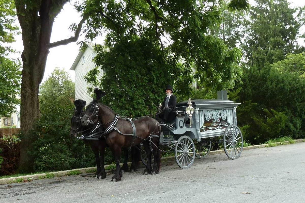 horse-drawn