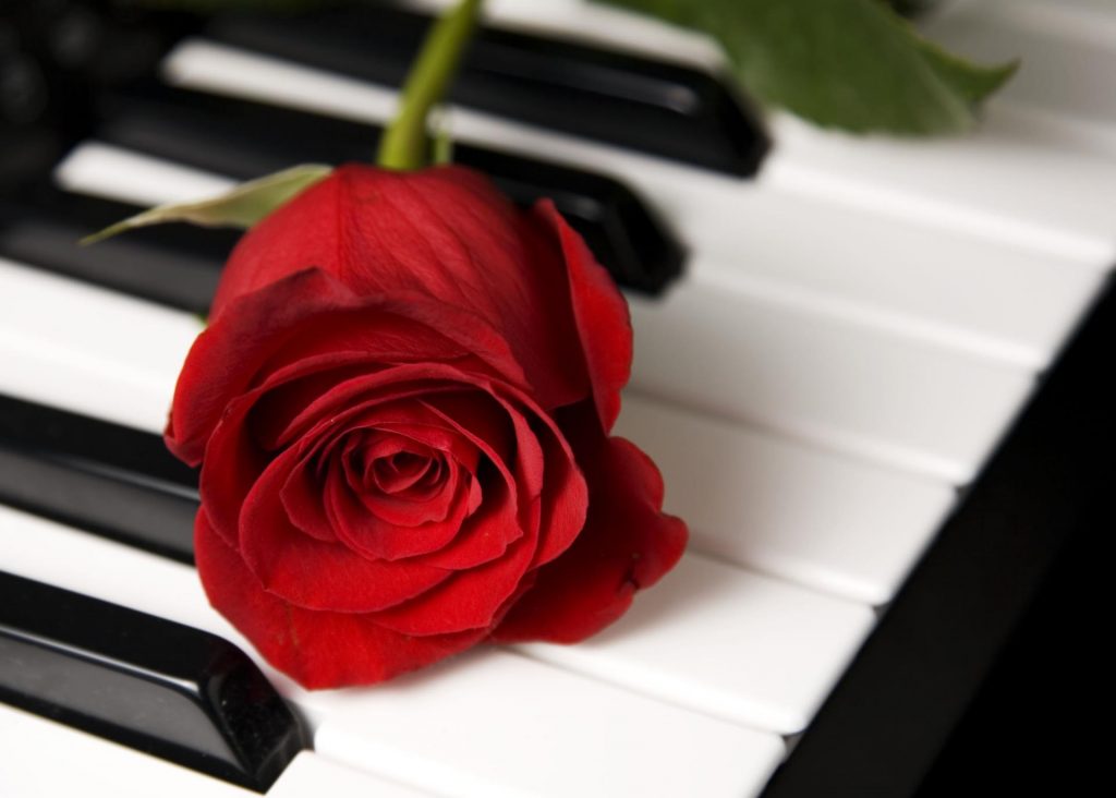 musical-tribute